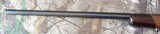 Browning A-Bolt Medallion in 22 Hornet with a Bushnell Banner Wide Angle scope - 4 of 12