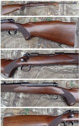 Pre 64 Winchester Model 70 in 257 Roberts with 24