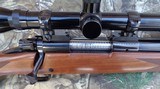 Winchester Model 70 Sporter Varmint in 308 Winchester with Tasco 24x44 scope 308 Win - 10 of 10