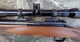 Winchester Model 70 Sporter Varmint in 308 Winchester with Tasco 24x44 scope 308 Win - 2 of 10