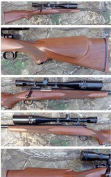 Winchester Model 70 Sporter Varmint in 308 Winchester with Tasco 24x44 scope 308 Win - 1 of 10