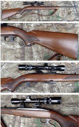 Winchester Model 88 243 Winchester with Bushnell 3x9 scope & sling