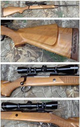 Sako Deluxe 25-06 Rem with Leupold 3x9 scope - 1 of 13