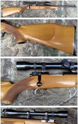 Sako Riihimaki Varmint in the 222 Rem with a Weaver K12 scope