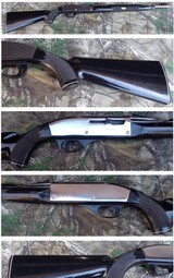 Remington White Diamond Nylon 66 semi-auto 22LR chrome and black - 1 of 12