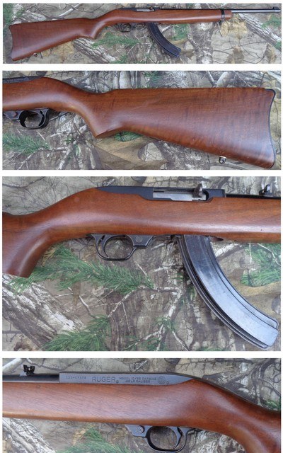 Ruger 10/22 carbine with 18 1/2