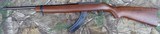 Ruger 10/22 carbine with 18 1/2