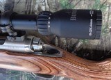 Savage Model 16 BSS in 204 Ruger with 24