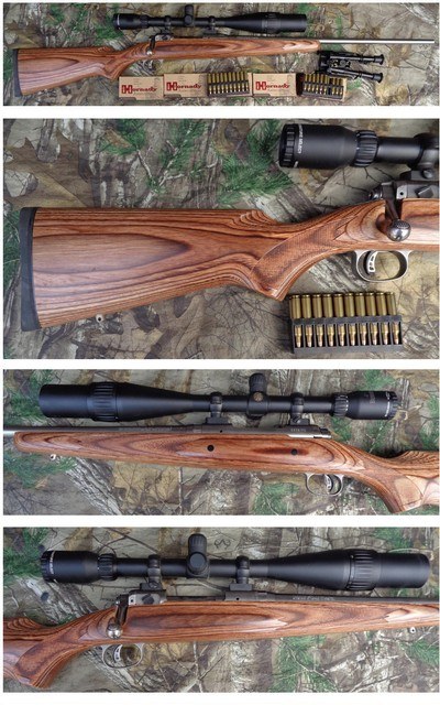 Savage Model 16 BSS in 204 Ruger with 24