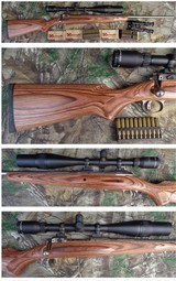 Savage Model 16 BSS in 204 Ruger with 24