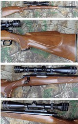 Remington 700 Varmint rifle 222 Rem 24
