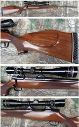 Colt Sauer Sporting Rifle in 22-250 Rem with Vari-X III 6.5 x 20 power scope - 1 of 13
