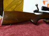 WINCHESTER PRE-64 MODEL 70 VARMINT RIFLE - 15 of 15