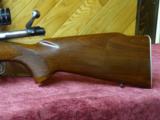 WINCHESTER PRE-64 MODEL 70 VARMINT RIFLE - 9 of 15