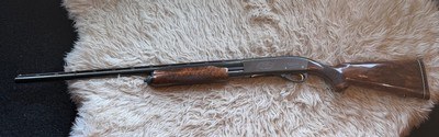 Remington 870TC Wingmaster Trap – 1966 150th Anniversary – 12ga - All Original – Beautiful Factory Walnut – 28" Full – Collector Condition - Image 6 of 12