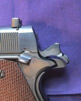 Colt Ace - 6 of 15