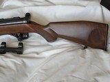 H&K 300 .22 magnum semi-auto rifle - 7 of 9