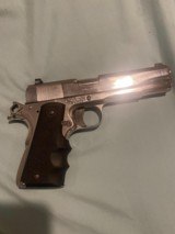 Colt - 2 of 8