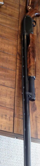 1948 Winchester Model-12 Trap Shotgun - 8 of 11