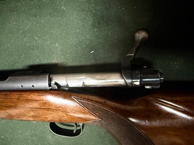 Winchester pre64 model 70 .243 Win - Image 13 of 15