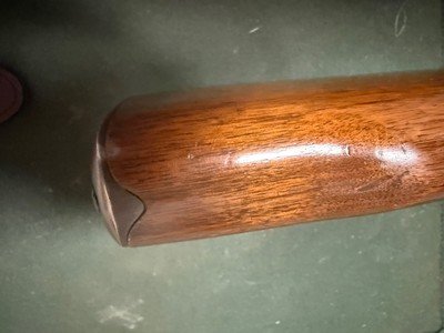 Winchester pre64 model 70 .243 Win - Image 11 of 15