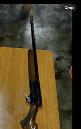 Browning Belgium A5 Light Twenty 1974 - 14 of 14