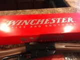 1895 Winchester 30-06 SRC NIB-Free Ship! - 14 of 14