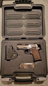 Sig P238 Equinox Like New - 2 of 4