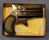 Davis Derringer Model D-38 in .38 Special - 1 of 3