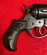 Vintage Colt Model 1877 Lightning D.A. . 38 Revolver All Matching Numbered Gun Manufactured in 1898/1899 - 12 of 15