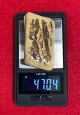 Vintage Colt 1908 Vest Pocket Stag Grips - 10 of 10