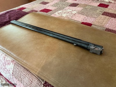 Perazzi 12 guage Double Barrel 32 