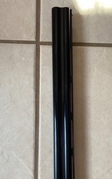 Rizinni BR110 28ga - 13 of 13