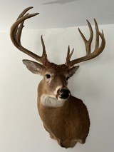 Thompson 45 Center Rifle - 10 of 10