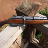 Mannlicher Schöenauer model 1903 carbine - 12 of 15