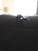 Springfield Armory - 12 of 12