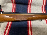 Ruger M77V (VARMINT)
25-06 Rem. - 4 of 14