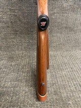 Winchester 70 Magnum Post-64 300 Win. Mag. - 10 of 13
