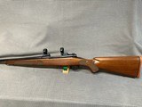 WINCHSTER (USRA- New Haven) 70 Featherweight 270 win. - 5 of 14