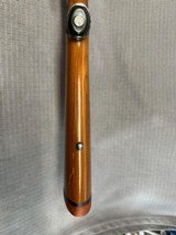 RUGER M77 VARMINT 243 Win. Pre-Warning. - 10 of 15