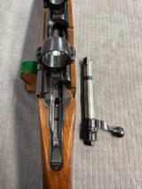RUGER M77 VARMINT 243 Win. Pre-Warning. - 15 of 15