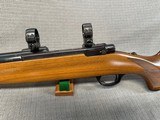 RUGER M77 VARMINT 243 Win. Pre-Warning. - 8 of 15