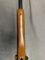 RUGER M77 VARMINT 243 Win. Pre-Warning. - 12 of 15
