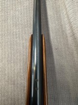 RUGER M77 VARMINT 243 Win. Pre-Warning. - 13 of 15