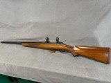 RUGER M77 VARMINT 243 Win. Pre-Warning. - 6 of 15
