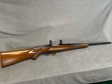 RUGER M77 VARMINT 243 Win. Pre-Warning.