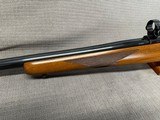 RUGER M77 VARMINT 243 Win. Pre-Warning. - 9 of 15