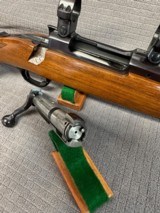 RUGER M77 VARMINT 243 Win. Pre-Warning. - 14 of 15