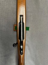 RUGER M77 VARMINT 243 Win. Pre-Warning. - 11 of 15