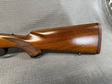 RUGER M77 VARMINT 243 Win. Pre-Warning. - 7 of 15